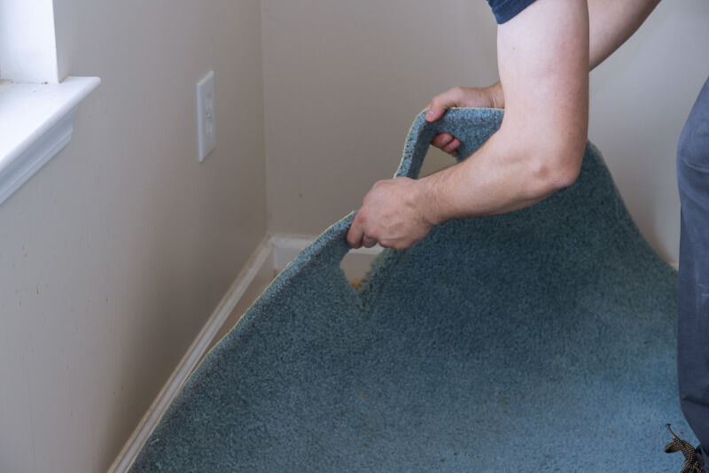 it is important for a carpet to be effectively cleaned